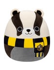 Squishmallows 40cm Harry Potter Soft Toy, Assorted product photo View 03 S