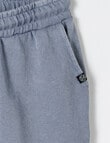 Mac & Ellie Garment Dye Knit Short, Smoke product photo View 02 S