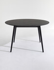 LUCA Furniture Amalfi Dining Table 1.2m, Black product photo View 02 S