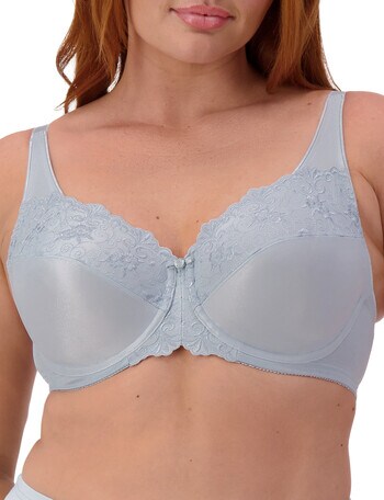 Triumph Minimiser Bra, 2-Pack, Pearl Grey & Indigo, D-G product photo