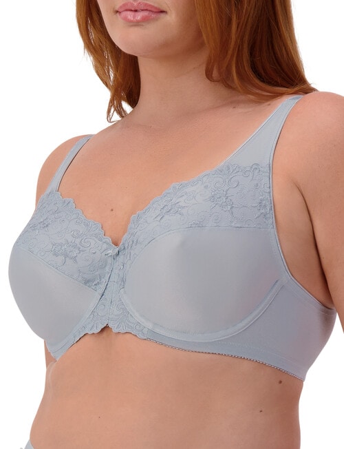 Triumph Minimiser Bra, 2-Pack, Pearl Grey & Indigo, D-G product photo View 05 L