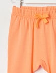 Teeny Weeny Knit Pant, Orange Sorbet product photo View 02 S