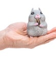 Schylling Chonky Cheeks Hamster, Assorted product photo View 05 S