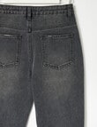 Switch Ella Distressed Jeans, Washed Black product photo View 02 S
