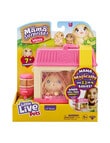 Little Live Mama Surprise Minis, Assorted product photo View 04 S