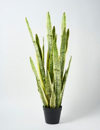 M&Co Faux Snake Plant product photo