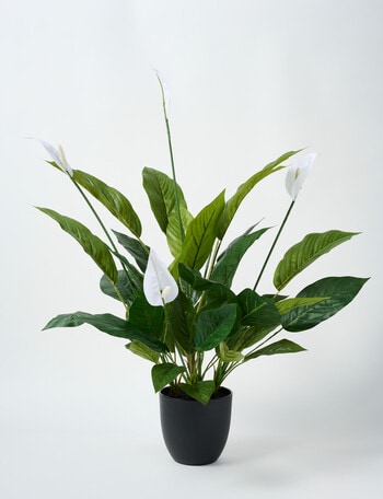 M&Co Faux Peace Lily product photo