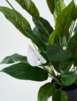M&Co Faux Peace Lily product photo View 02 S