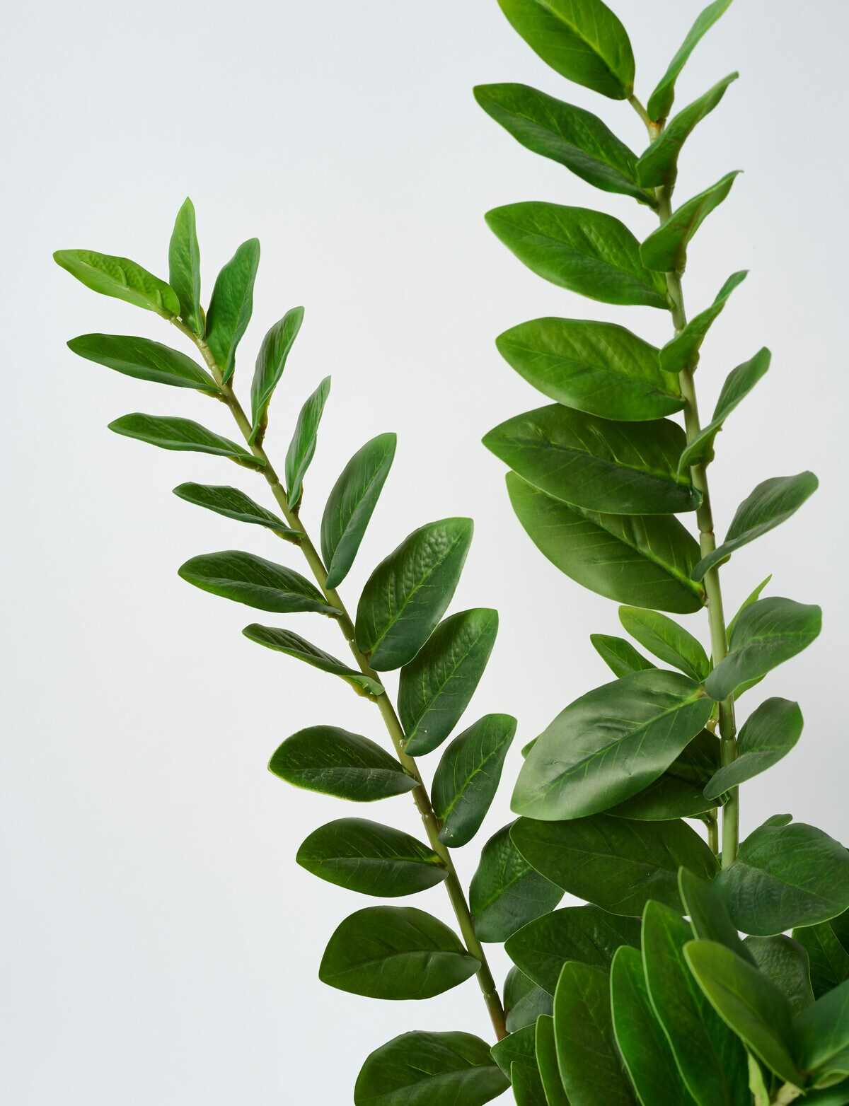 M&Co Faux ZZ Plant Artificial Plants & Planters