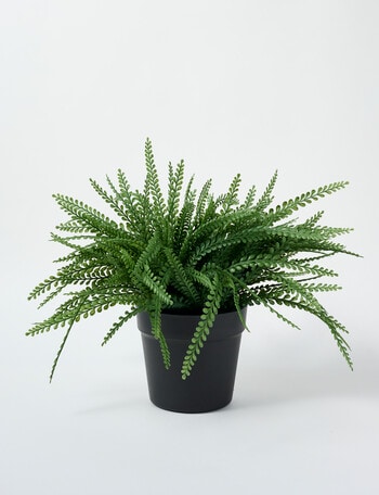 M&Co Faux Fern product photo