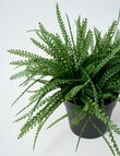M&Co Faux Fern product photo View 02 S