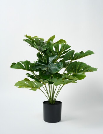 M&Co Faux Monstera product photo
