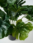 M&Co Faux Monstera product photo View 03 S