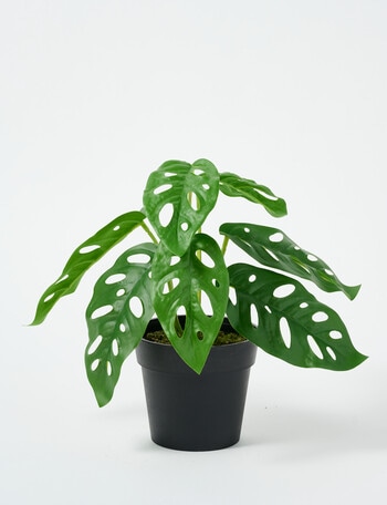 M&Co Faux Swiss Cheese Plant product photo