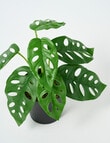 M&Co Faux Swiss Cheese Plant product photo View 02 S