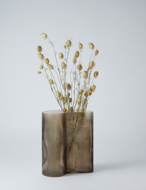 M&Co Napa Glass Vase, 25cm, Otter product photo View 04 L