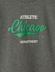 No Issue Chicago Crew Sweatshirt, Smoke Marl product photo View 02 S