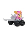 Paw Patrol Mighty Mini Squad Racers, Assorted product photo View 10 S