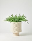 M&Co Somis Planter product photo View 02 S