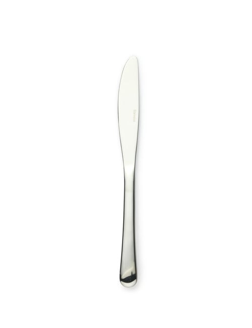 Stevens Palate Stainless Steel Table Knife, Set of 4 product photo