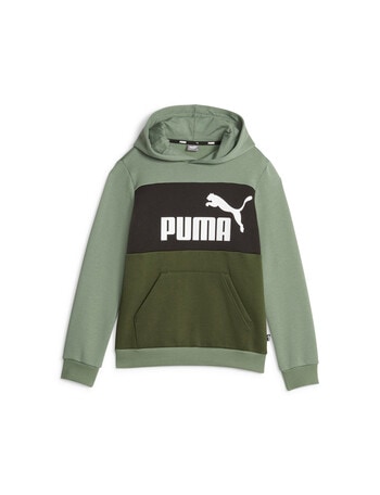 Puma Colourblock Hoodie, Eucalyptus product photo