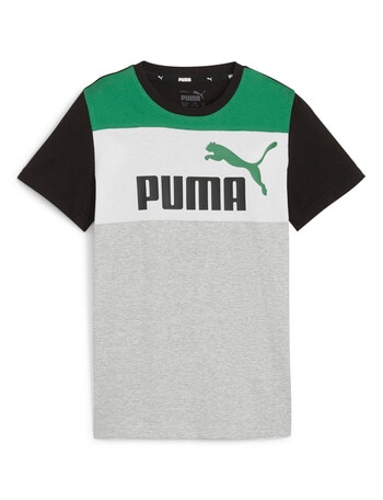 Puma Essential Block Tee, Archive Green product photo