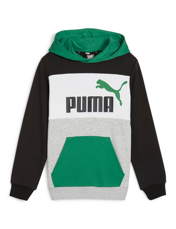 Puma Essential Block Hoodie Terry, Green product photo