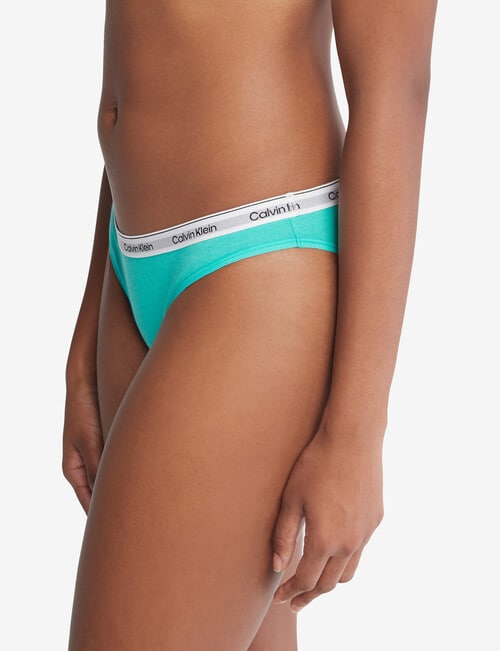 Calvin Klein Modern Logo Bikini Briefs, 5-Pack, XS-XL product photo View 02 L