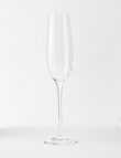 Cellar Premium Champagne Flute Set, 4-Piece, 235ml product photo View 02 S