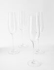 Cellar Premium Champagne Flute Set, 4-Piece, 235ml product photo View 02 S