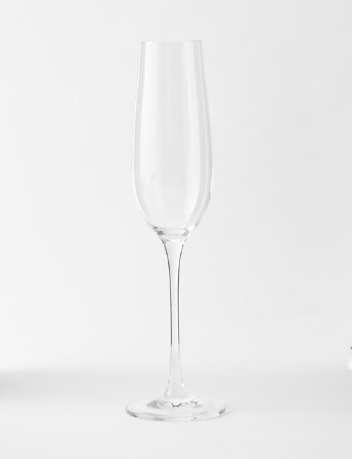 Cellar Premium Champagne Flute Set, 4-Piece, 235ml product photo View 02 L