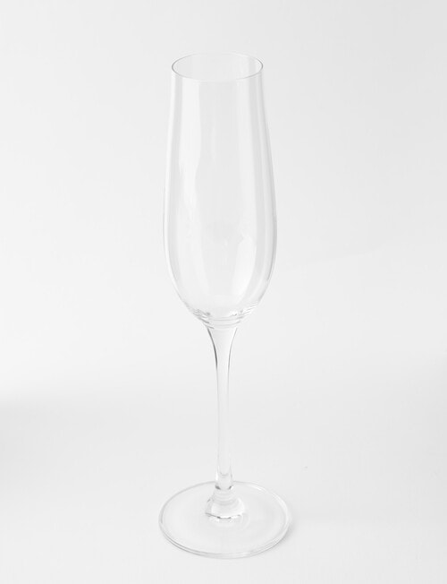 Cellar Premium Champagne Flute Set, 4-Piece, 235ml product photo View 02 L