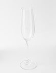 Cellar Premium Champagne Flute Set, 4-Piece, 235ml product photo View 03 S