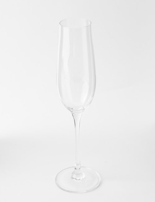 Cellar Premium Champagne Flute Set, 4-Piece, 235ml product photo View 03 L