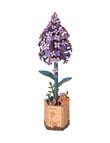 DIY Kits Rowood Lilac product photo