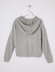 Switch Supersoft Rib Hoodie, Gray Marle product photo View 02 S