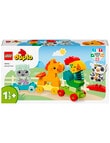LEGO DUPLO Duplo® My First Animal Train, 10412 product photo View 02 S