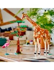 LEGO Creator 3-in-1 Creator 3-in-1 Wild Safari Animals, 31150 product photo View 07 S