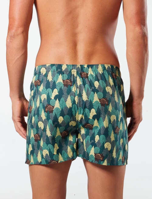 Mitch Dowd Ducks Woven Boxer, 3-Pack, Assorted product photo View 03 L