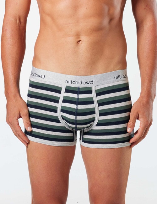 Mitch Dowd Bear Stripe Trunk, 3-Pack, Navy, Grey & Green product photo View 02 L