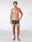Mitch Dowd Bear Stripe Trunk, 3-Pack, Navy, Grey & Green product photo View 05 S