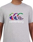 Canterbury Uglies Short Sleeve T-Shirt, 061 Grey, S product photo View 03 S