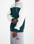Champion Rochester City Quarter Zip Hoodie, Forest Gem product photo View 02 S