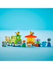 LEGO DUPLO Town Caring for Bees & Beehives, 10419 product photo View 04 S