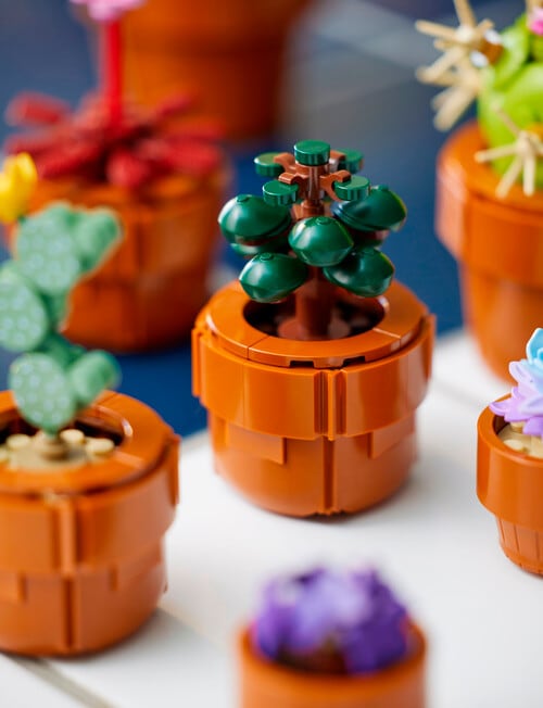 LEGO Botanicals Tiny Plants, 10329 product photo View 19 L