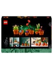 Lego Icons Icons Tiny Plants, 10329 product photo View 24 S