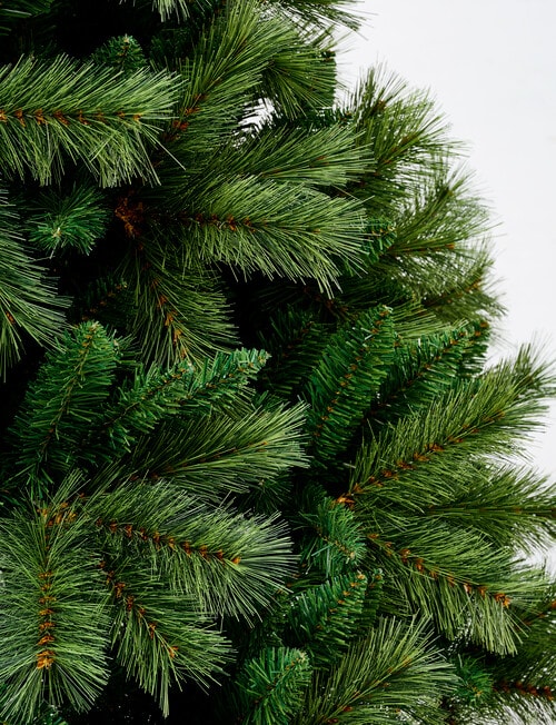 Christmas Shop Portland Pine Tree, 240cm/8ft product photo View 02 L