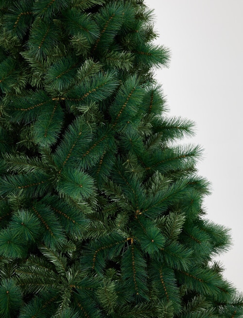 Christmas Shop Portland Pine Tree, 240cm/8ft product photo View 02 L