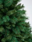 Christmas Shop Portland Pine Tree, 180cm/6ft product photo View 02 S