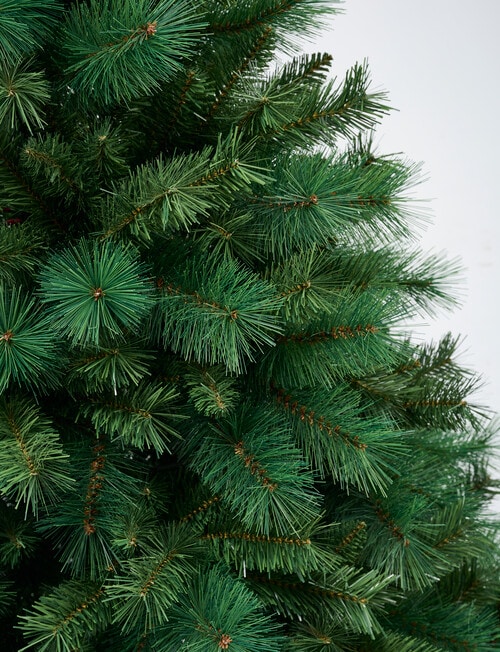 Christmas Shop Portland Pine Tree, 180cm/6ft product photo View 02 L